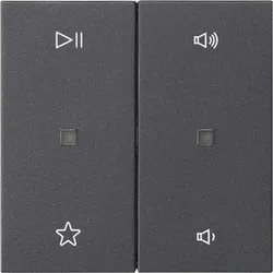 Gira Wippe 2f Audiostrg 538428