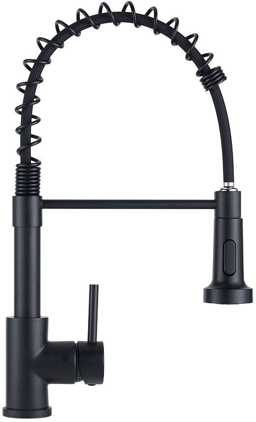 Belfry Kitchen Ailsa Kitchen Faucet Side Spray Matte Black