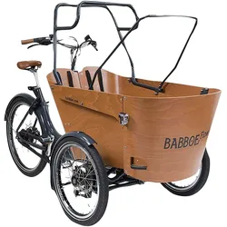 Babboe Zeltstangen Babboe | für Regendach, für Carve / Flow