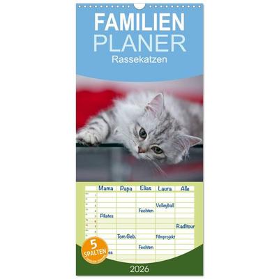 Familienplaner 2026 - Rassekatzen mit 5 Spalten (Wandkalender, 21 x 45 cm) CALVENDO