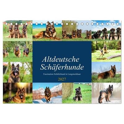 Altdeutsche Schäferhunde - Faszination Schäferhund in Langstockhaar (Tischkalender 2027 DIN A5 quer), CALVENDO Monatskalender