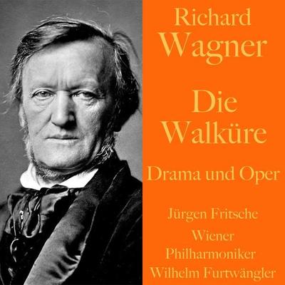 Richard Wagner: Die Walküre - Drama und Oper - David Wagner, Audio, 9783955976620
