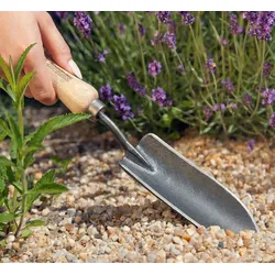 Krumpholz® Pflanzenkelle schmal mit Eschengriff