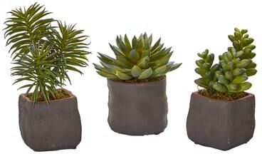 Nearly Natural Mixed Succulent Trio Artificial Plant (Set of 3)