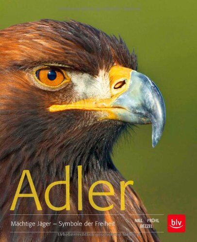 Einhard Bezzel - Adler: Mächtige Jäger - Symbole der Freiheit - Preis vom 30.09.2026 09:01:18 h