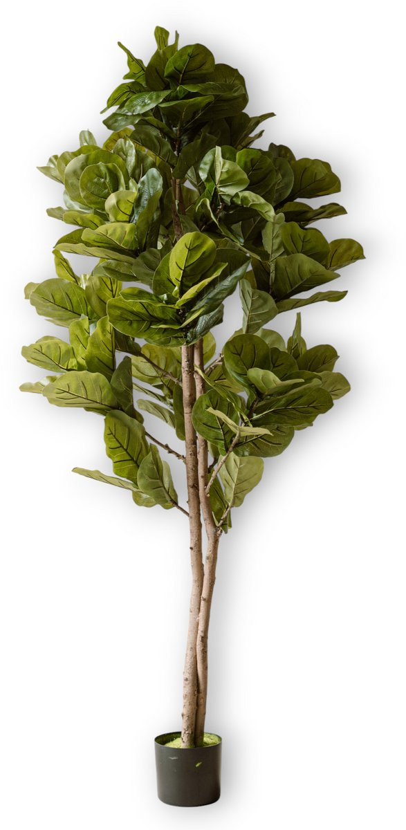 Indore Silva Kunstplant Vijg 150 cm – Grote Ficus Kamerplant met Pot