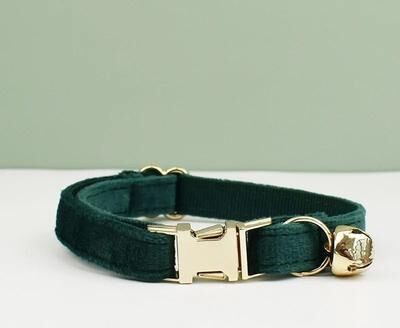 Uplift Essentials Velvet Bowknot Personalized Cat Collar cat Collar Moss Green l