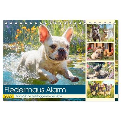 Fledermaus Alarm. Französiche Bulldoggen in der Natur (Tischkalender 2027 DIN A5 quer), CALVENDO Monatskalender