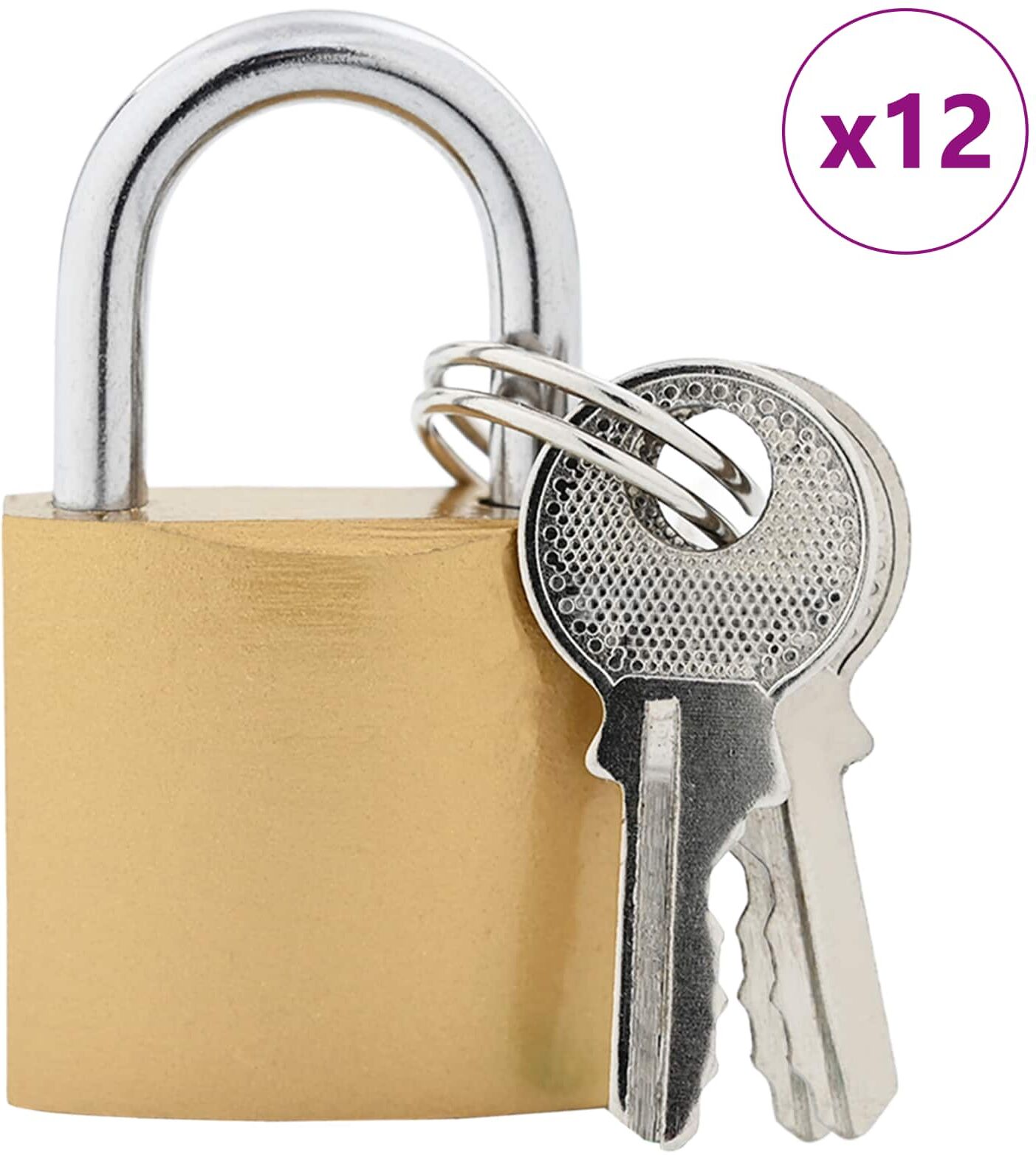 vidaXL U Lock avec Clés 12 pièces Laiton Fer