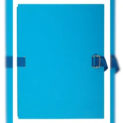 Exacompta 223020E 25x AKTENMAPPEN EINBANDDECKEL LEINEN SORTIER - Hellblau