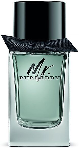BURBERRY Mr. Burberry Eau de Toilette 100ml EG