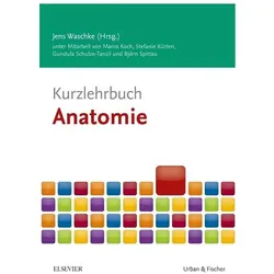 Kurzlehrbuch Anatomie, Fachbücher von Jens Waschke, Björn Spittau, Gundula Schulze-Tanzil, Stefanie Kürten, Marco Koch