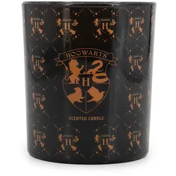 Hogwarts - Harry PotterTM Duftkerze 135g