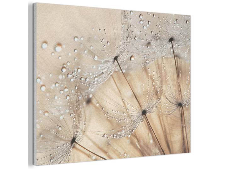 MuchoWow Akustikbild - Löwenzahn - Abstrakt - Natur - Beige - 80x60, Braun, Kunststoff, Rechteckig, 80x60x0.9 cm, Wandverkleidung, Akustikpaneele