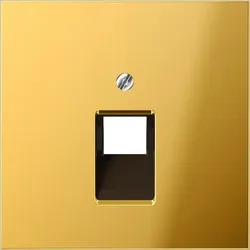 Jung Abdeckung go GO 2969-1 UA GO2969-1UA