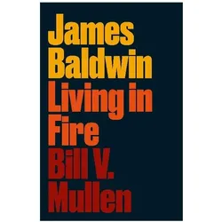 Mullen:James Baldwin, Fachbücher von Bill V. Mullen