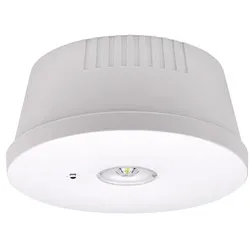 ESYLUX LED-Notleuchte ELH-2 EL #EN10080067