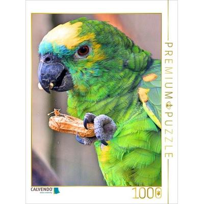CALVENDO Puzzle Blaustirnamazone knabbert eine Erdnuss | 1000 Teile Lege-Größe 64x48cm Foto-Puzzle für glückliche Stunden