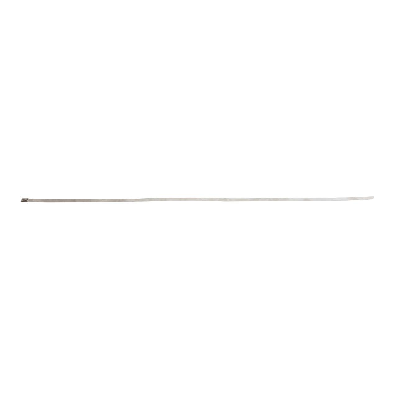 Brady Kabelbinder (840 mm, 100 Stk.) (SSTIE-840-7316-HD)