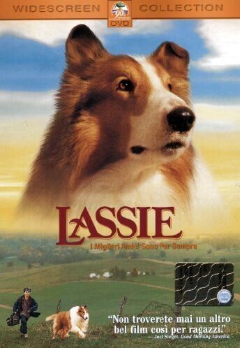 Daniel Petrie - Lassie [IT Import] - Preis vom 19.10.2026 19:33:35 h