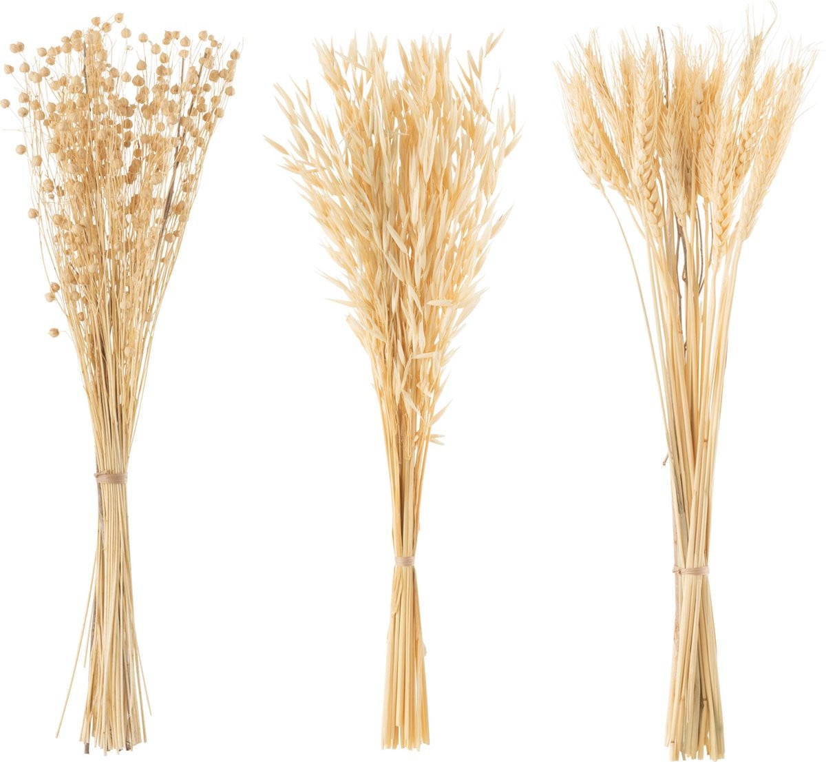 J-Line Bundel gedroogde bloemen naturel - 3 stuks