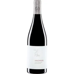 Blaufränkisch Ungerberg Weingut Paul Achs 2022 BIO