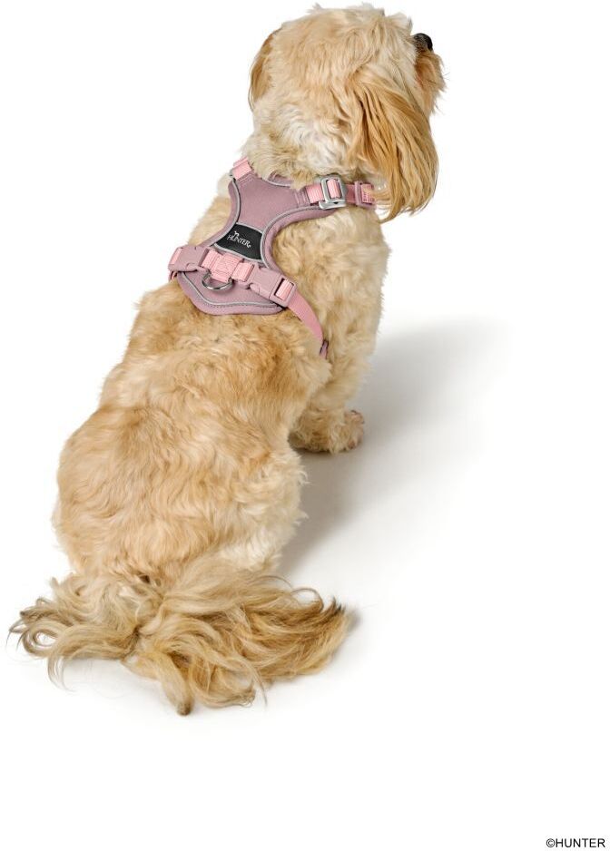 DOG SPORT HUNTER Geschirr Divo Up S-M, altrosa