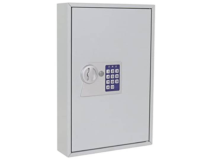 Profirst Schlüsselschrank Elea 64, Elektronikschloss, mechanische Notöffnung, Lichtgrau, BxH 30x45 cm, 64 Haken, inkl. Befestigungsmaterial