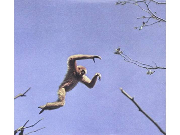 Star Club West - My Ill Women