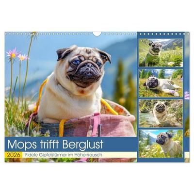 Mops trifft Berglust. Fidele Gipfelstürmer im Höhenrausch (Wandkalender 2026 DIN A3 quer), CALVENDO Monatskalender