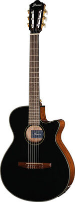 Ibanez AEG50N-BKH Nylon Schwarz Hochglanz
