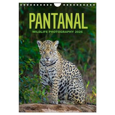 Pantanal Wildlife Photography (Wall Calendar 2026 DIN A4 portrait), CALVENDO 12 Month Wall Calendar