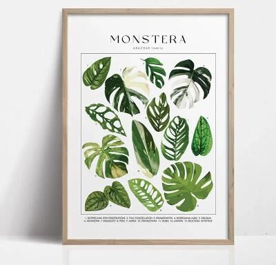 Inspire Select Green Botanical Leaves Canvas Wall Art Calming Nature Houseplant Print 19 7.87 X 11.81 In