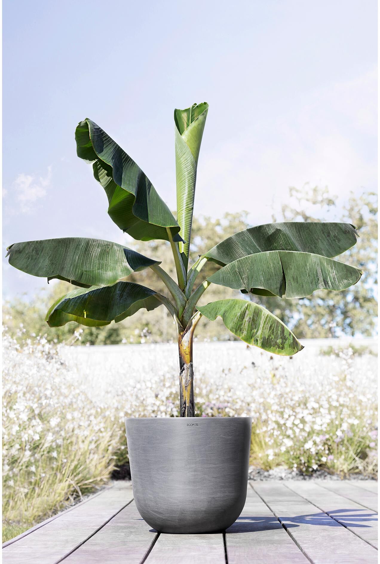 Blumentopf ECOPOTS "Oslo 45 Grau", grau, H:39,2cm Ø:45cm, Kunststoff, Pflanzgefässe, Blumentopf grau Ø 45cm