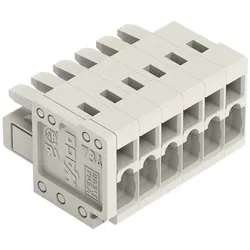 WAGO GmbH &amp; Co. KG Federleiste 734-106
