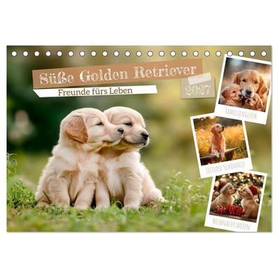 Süße Golden Retriever - Freunde fürs Leben (Tischkalender 2027 DIN A5 quer), CALVENDO Monatskalender