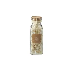 HOME STORY Muschelmix im Glas   , creme , Naturprodukte,Glas , Maße (cm): B: 6,5 H: 19 T: 6.5