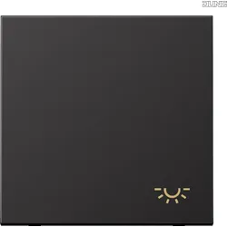 Jung Wippe Symbol Licht AL 2990 L D