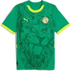 Puma, Herren, Fussballtrikot, auswärtstrikot sénégal 2024 (XS), Grün