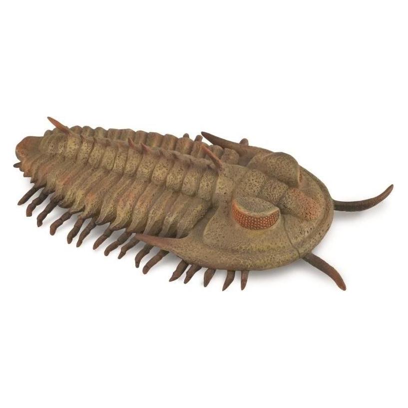 Collecta FIGUR REDLICHIA REX TRYLOBIT - - 88906 - L (004-88906)