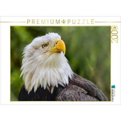 CALVENDO Puzzle Weißkopfseeadler im Porträt | 2000 Teile Lege-Größe 90x67cm Foto-Puzzle für glückliche Stunden, Sonstige von , Calvendo Puzzle