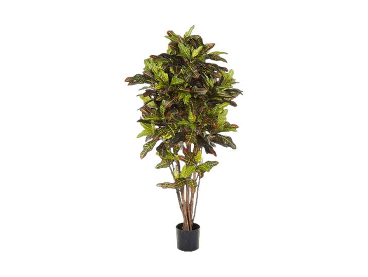 Lebensechte Kunstpflanze „Croton Exellent Bush“, verschiedene Grössen Grün Baq Design