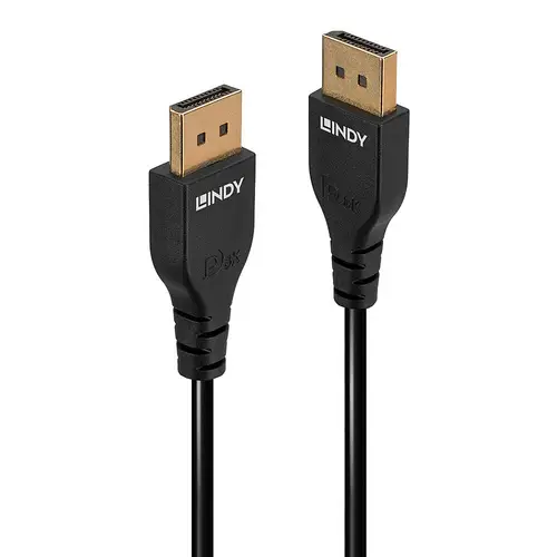 LINDY DisplayPort Anschlusskabel DisplayPort Stecker 2m Schwarz 36462 DisplayPort-Kabel