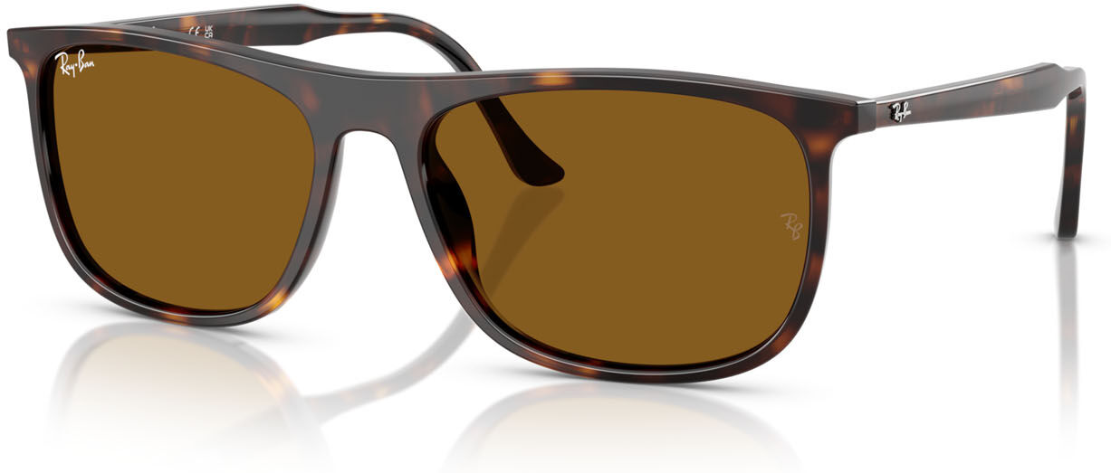 Ray-Ban 2216 (902/33)