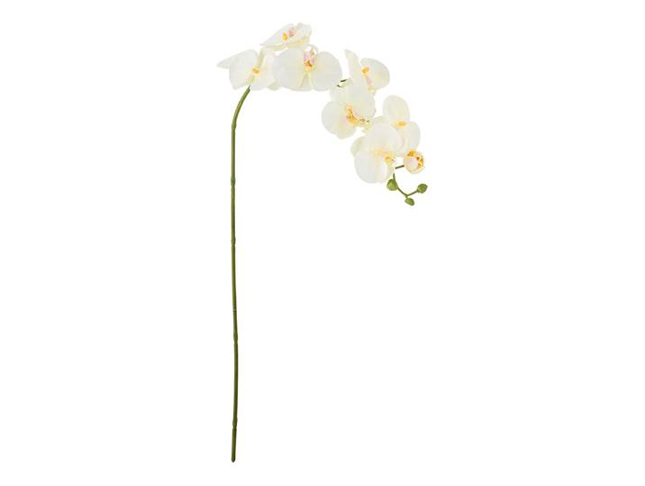 Fleur artificielle Orchidée Blanche 94cm