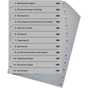 europrotokoll Versicherungsregister A4, 1-12, Finanzen, Kunststoff, 12-teilig, grau