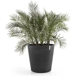 Ecopots, Blumentopf, Amsterdam Wheels (60 x 56 cm)