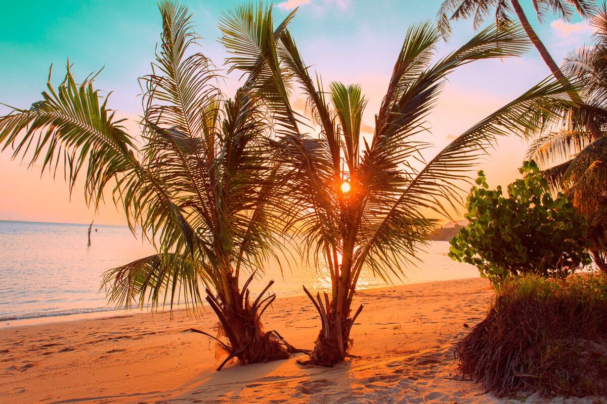 Fototapete PAPERMOON "Tropischer Sonnenuntergangsstrand", bunt, B:3m L:2,23m, Vlies, Tapeten, Fototapete bunt B/L: 3m x 2,23m, Bahnen: 6 Stk.
