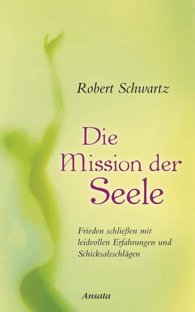 Robert Schwartz - Die Mission der Seele - Preis vom 14.10.2026 23:07:16 h