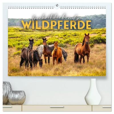 Freiheitsliebende Wildpferde (hochwertiger Premium Wandkalender 2027 DIN A2 quer), Kunstdruck in Hochglanz